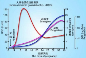 這些檢查，懷孕后要馬上做，千萬別錯過！